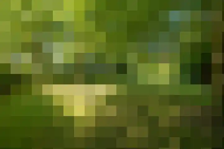 Wierumerwei 12 Hantumhuzen thumbnail 95