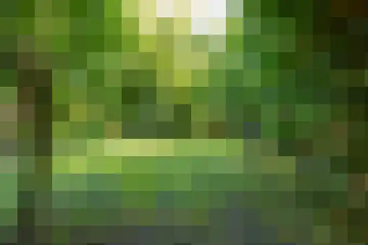 Wierumerwei 12 Hantumhuzen thumbnail 96