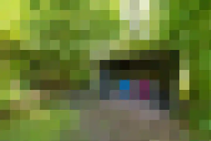 Wierumerwei 12 Hantumhuzen thumbnail 97