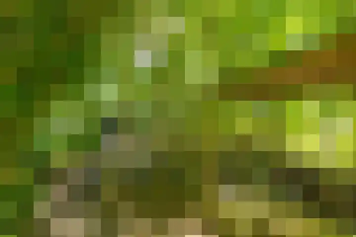 Wierumerwei 12 Hantumhuzen thumbnail 98