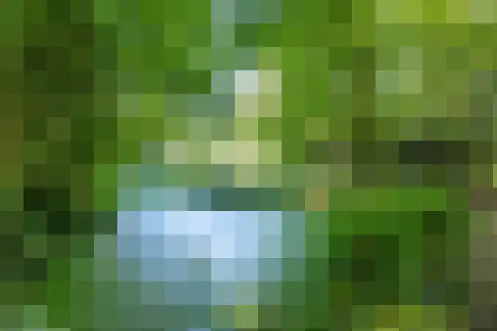 Wierumerwei 12 Hantumhuzen thumbnail 99