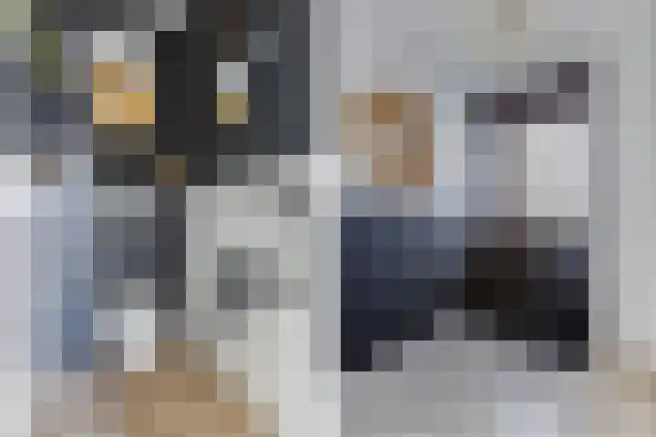 Wies Kreukniethage 10 Emmeloord thumbnail 13
