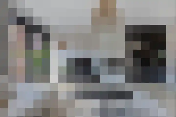 Wies Kreukniethage 10 Emmeloord thumbnail 15