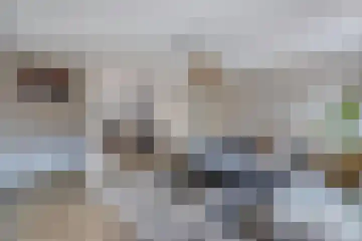 Wies Kreukniethage 10 Emmeloord thumbnail 17