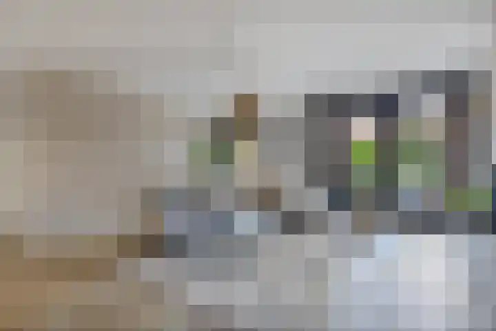 Wies Kreukniethage 10 Emmeloord thumbnail 18