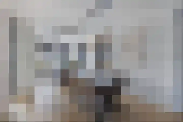 Wies Kreukniethage 10 Emmeloord thumbnail 20