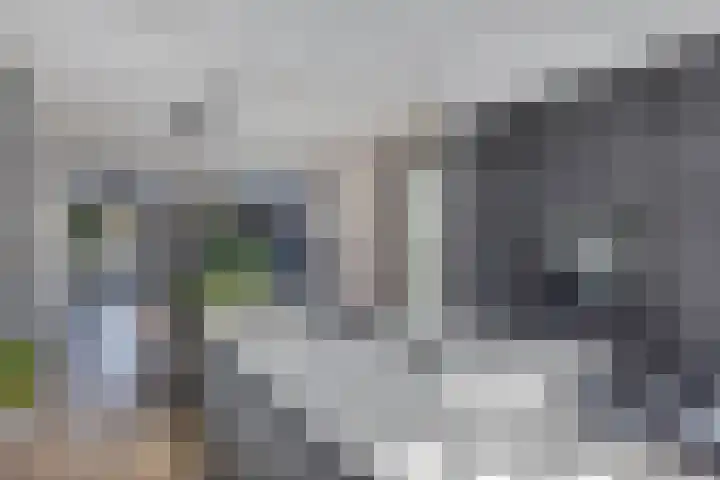 Wies Kreukniethage 10 Emmeloord thumbnail 23