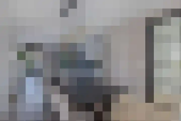 Wies Kreukniethage 10 Emmeloord thumbnail 24