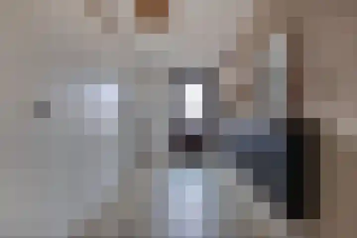 Wies Kreukniethage 10 Emmeloord thumbnail 25