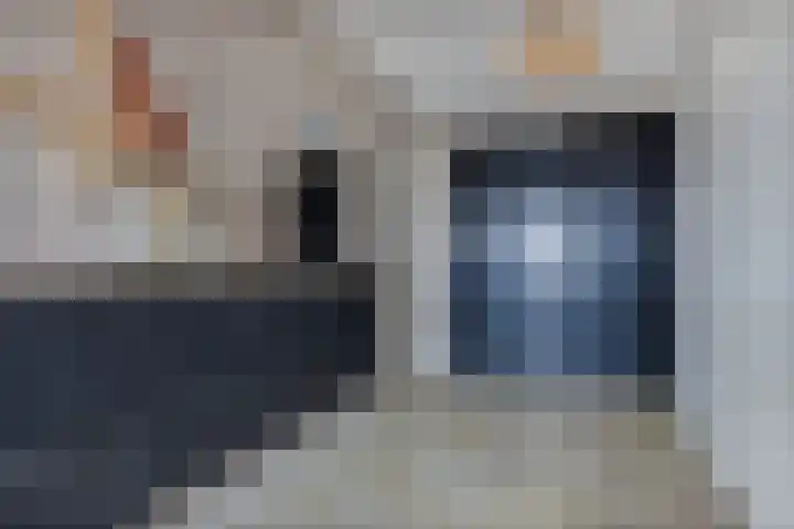 Wies Kreukniethage 10 Emmeloord thumbnail 26