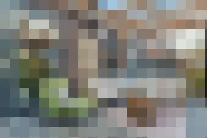 Wies Kreukniethage 10 Emmeloord thumbnail 27