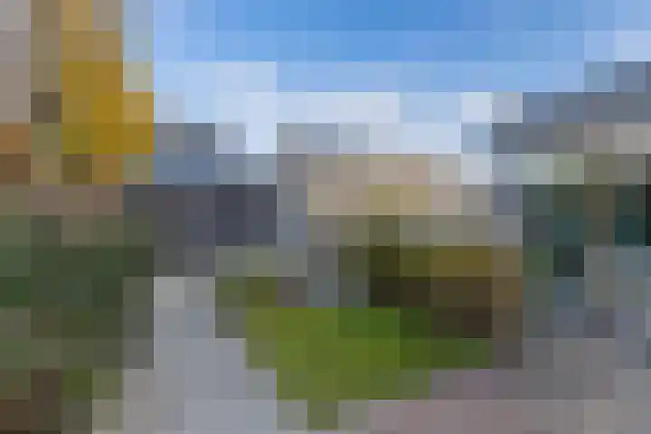 Wies Kreukniethage 10 Emmeloord thumbnail 28