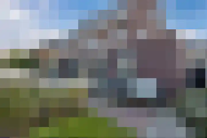 Wies Kreukniethage 10 Emmeloord thumbnail 30