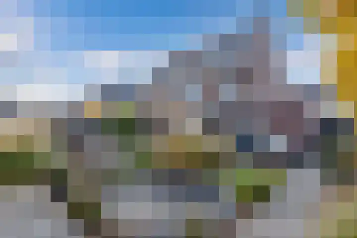 Wies Kreukniethage 10 Emmeloord thumbnail 31
