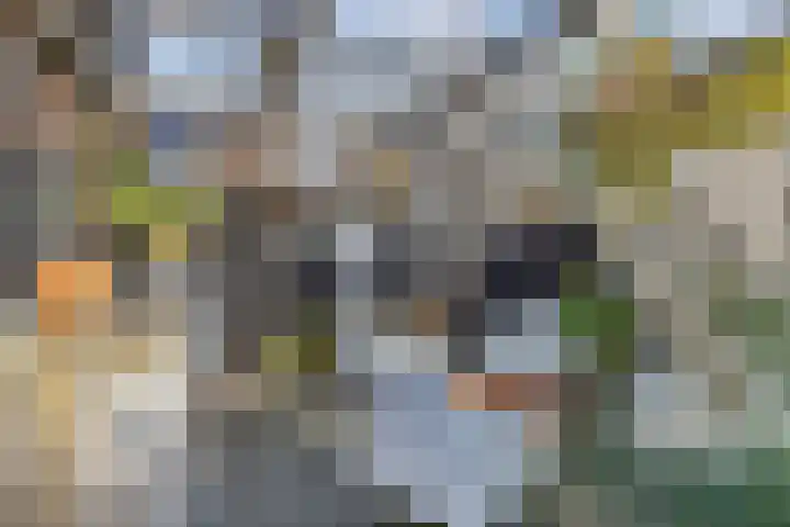 Wies Kreukniethage 10 Emmeloord thumbnail 33