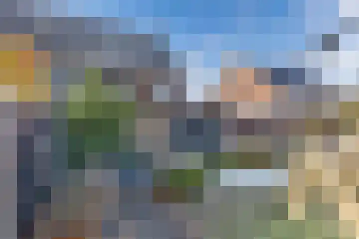Wies Kreukniethage 10 Emmeloord thumbnail 34