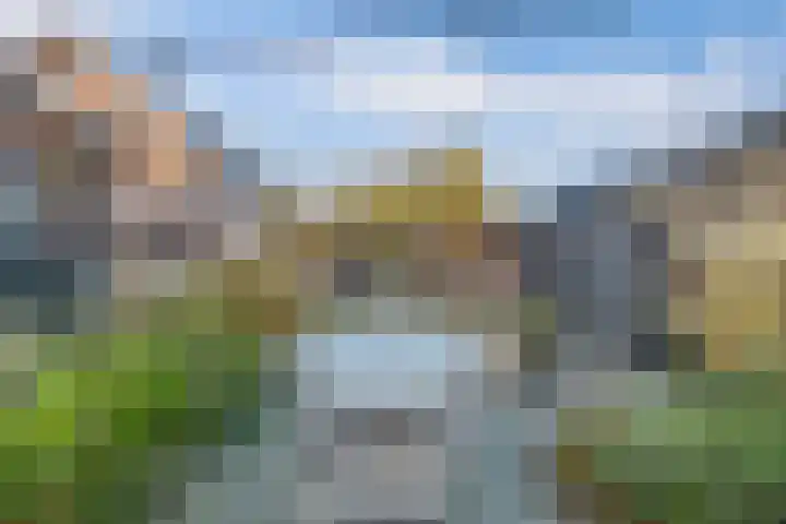 Wies Kreukniethage 10 Emmeloord thumbnail 35