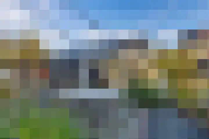 Wies Kreukniethage 10 Emmeloord thumbnail 36