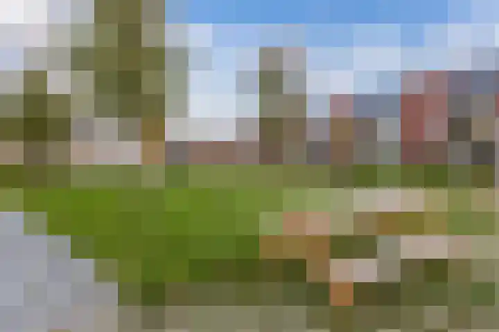 Wies Kreukniethage 10 Emmeloord thumbnail 38