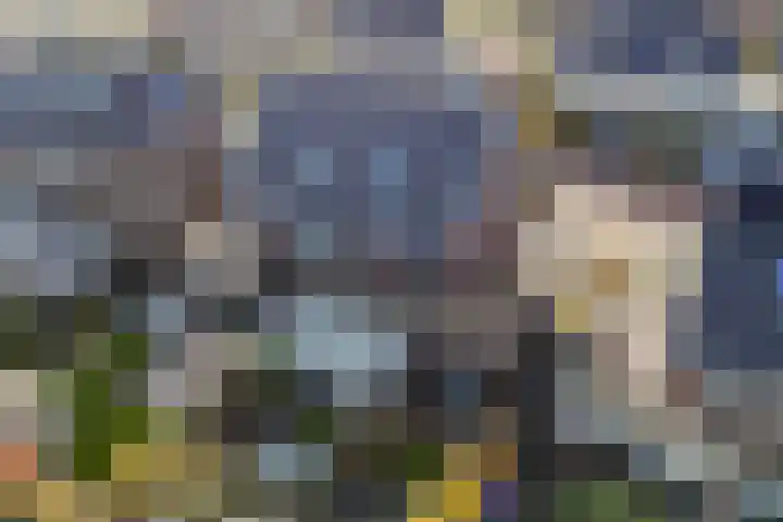Wies Kreukniethage 10 Emmeloord thumbnail 40