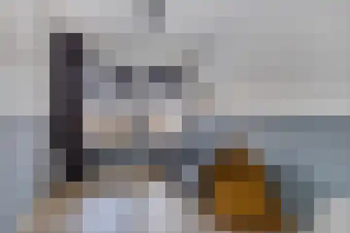 Wies Kreukniethage 10 Emmeloord thumbnail 48