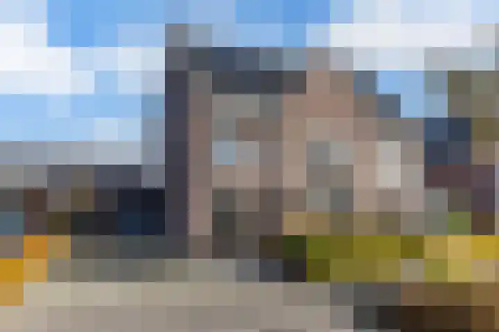 Wies Kreukniethage 10 Emmeloord thumbnail 5