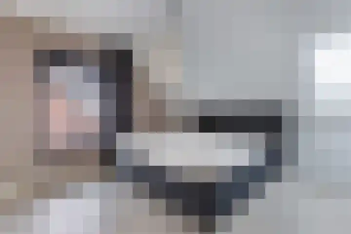 Wies Kreukniethage 10 Emmeloord thumbnail 51