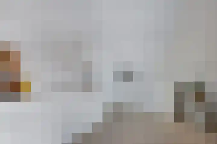 Wies Kreukniethage 10 Emmeloord thumbnail 54