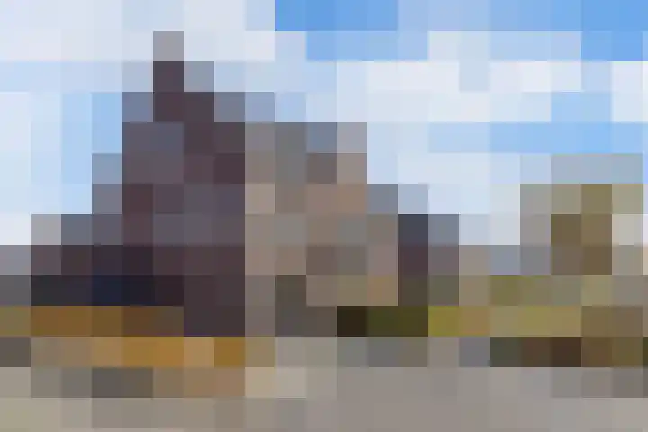 Wies Kreukniethage 10 Emmeloord thumbnail 6