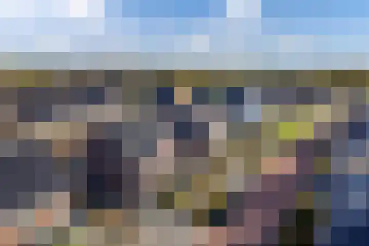 Wies Kreukniethage 10 Emmeloord thumbnail 9