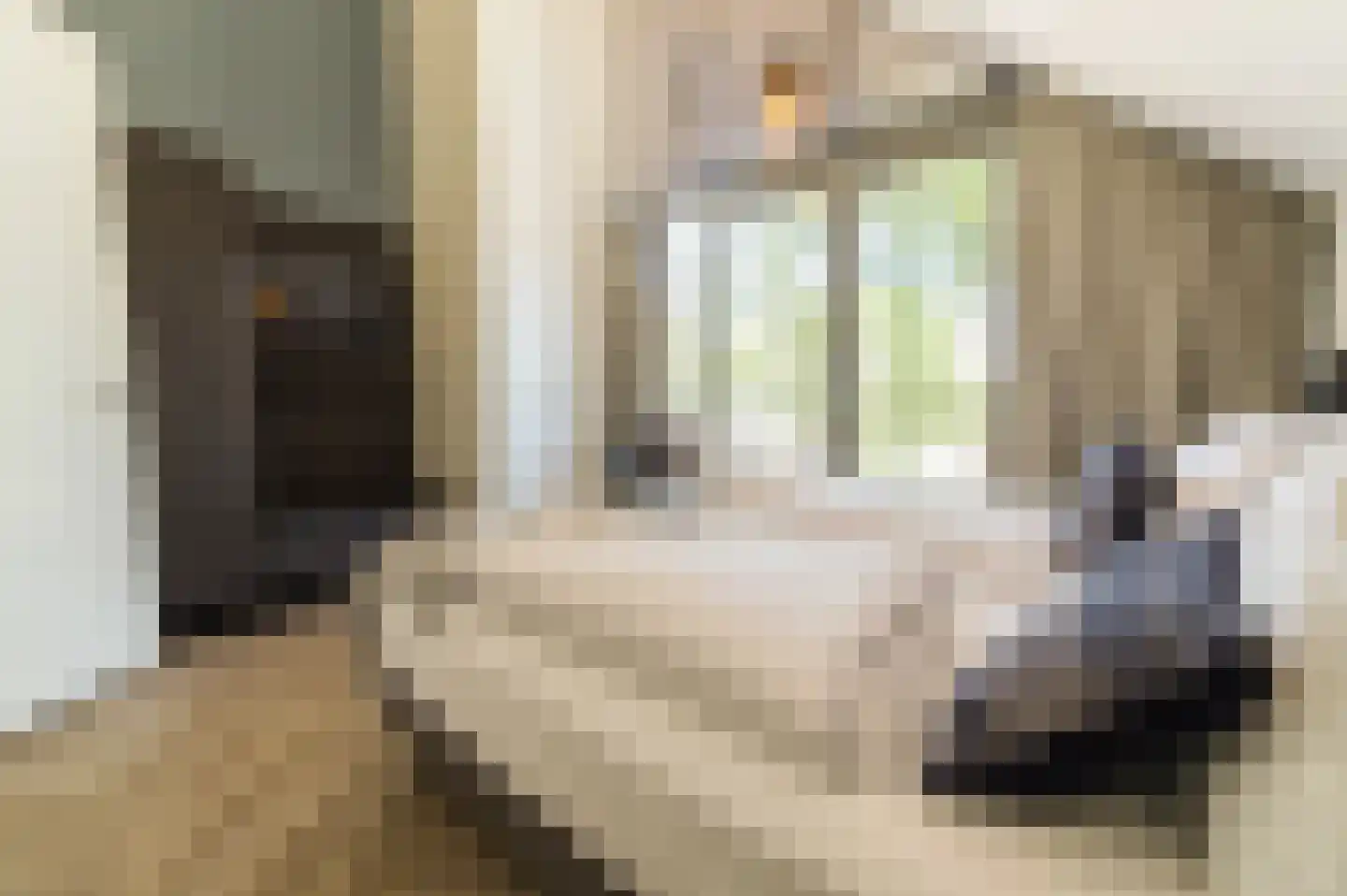 Wies Vaessenbaan 24 Maastricht thumbnail 4