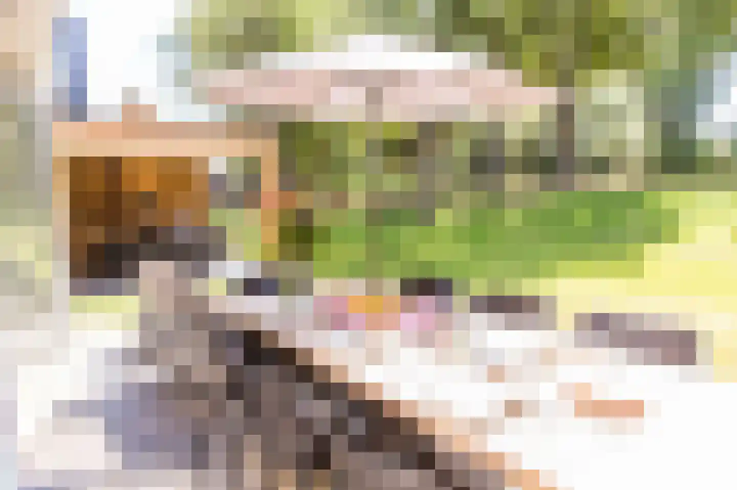 Wies Vaessenbaan 24 Maastricht thumbnail 6