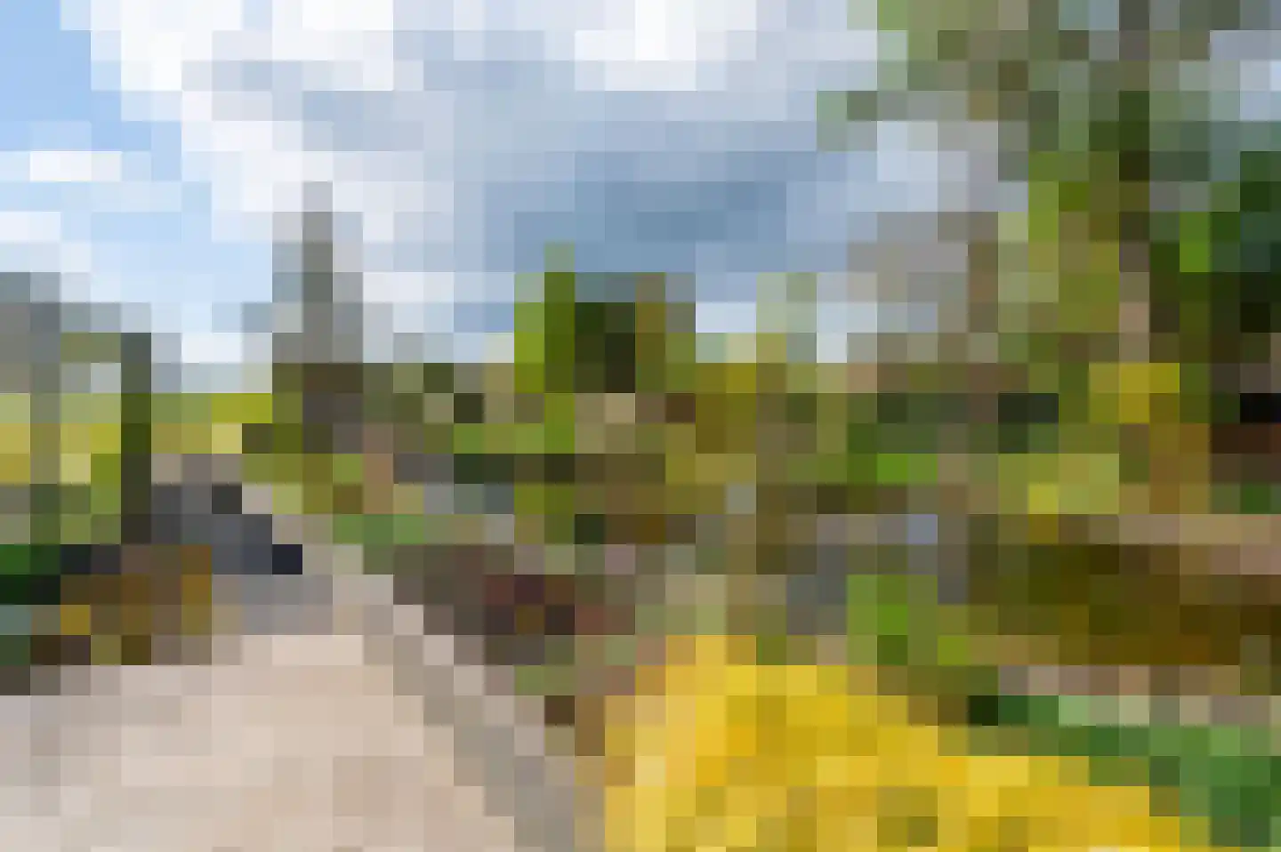 Wieselse Kampweg 17 Wenum Wiesel thumbnail 33