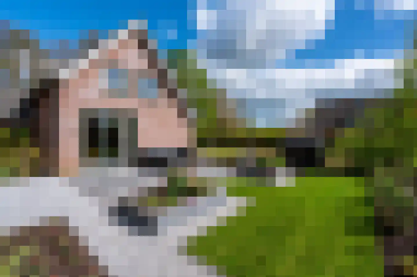 Wieselse Kampweg 17 Wenum Wiesel thumbnail 37