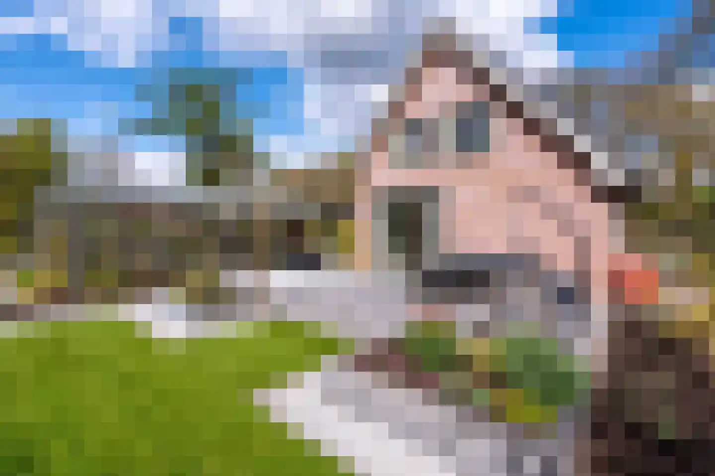 Wieselse Kampweg 17 Wenum Wiesel thumbnail 38