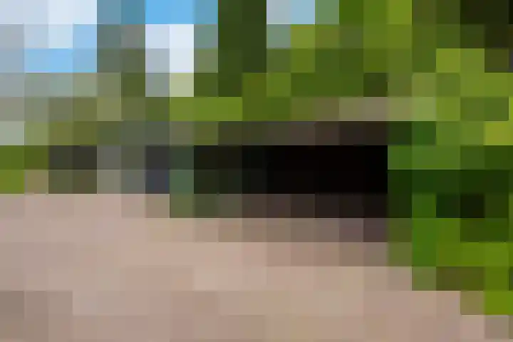 Wieselse Kampweg 35 Wenum Wiesel thumbnail 38