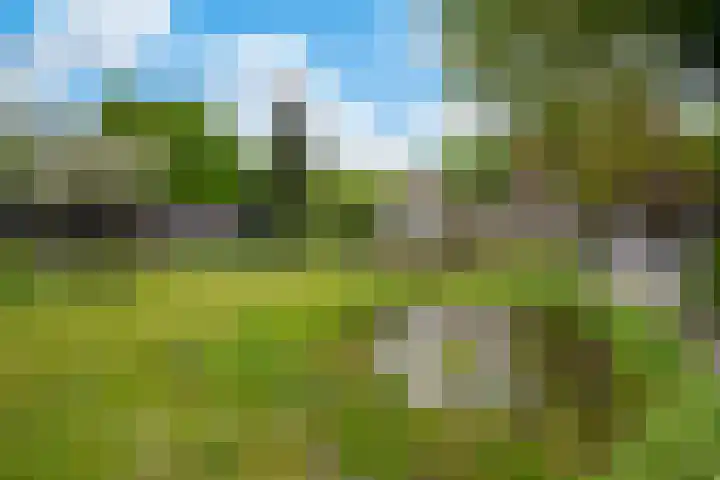 Wieselse Kampweg 35 Wenum Wiesel thumbnail 7