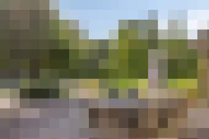Wieselse Kampweg 64 Wenum Wiesel thumbnail 52