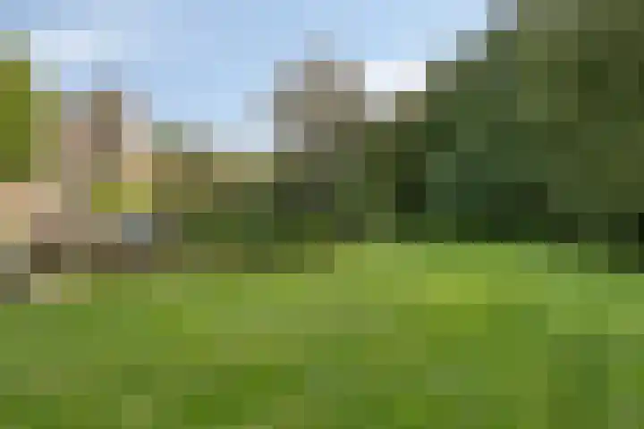 Wieselse Kampweg 64 Wenum Wiesel thumbnail 57