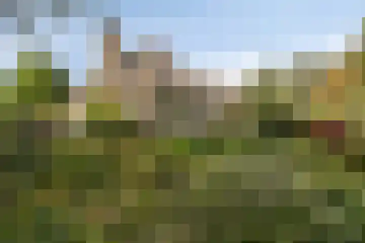 Wieselse Kampweg 64 Wenum Wiesel thumbnail 60