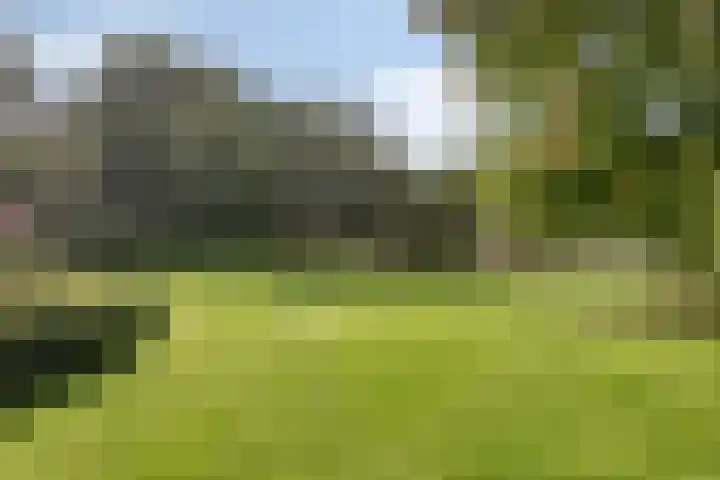 Wieselse Kampweg 64 Wenum Wiesel thumbnail 62
