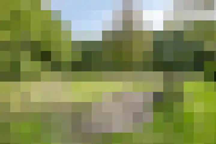 Wieselse Kampweg 64 Wenum Wiesel thumbnail 63