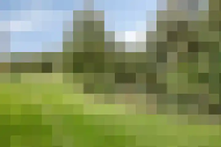 Wieselse Kampweg 64 Wenum Wiesel thumbnail 64