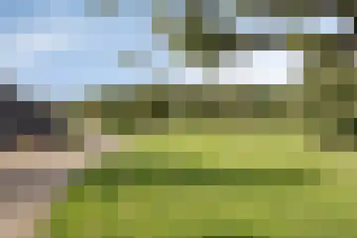 Wieselse Kampweg 64 Wenum Wiesel thumbnail 65