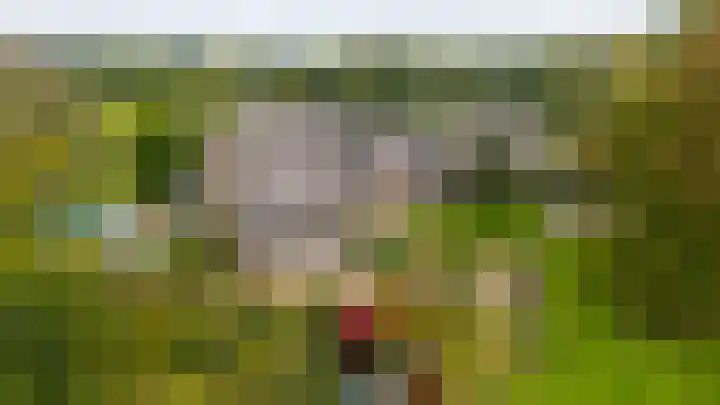 Wieselse Kampweg 64 Wenum Wiesel thumbnail 7