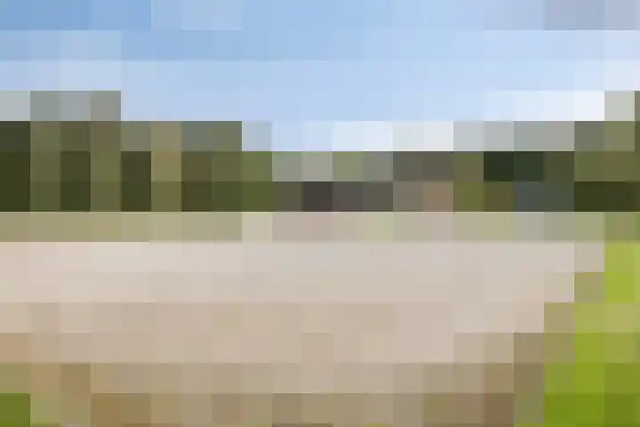 Wieselse Kampweg 64 Wenum Wiesel thumbnail 71