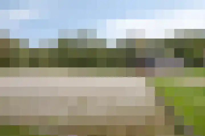 Wieselse Kampweg 64 Wenum Wiesel thumbnail 72