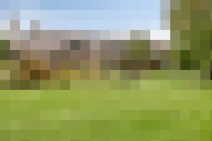 Wieselse Kampweg 64 Wenum Wiesel thumbnail 78