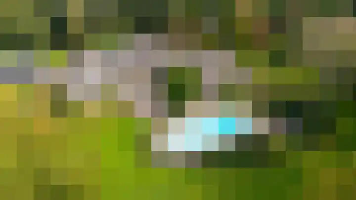 Wieselse Kampweg 64 Wenum Wiesel thumbnail 8