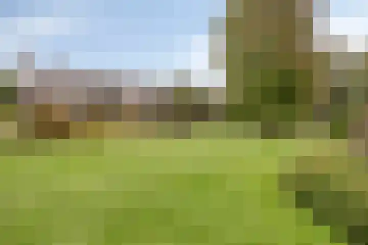 Wieselse Kampweg 64 Wenum Wiesel thumbnail 80